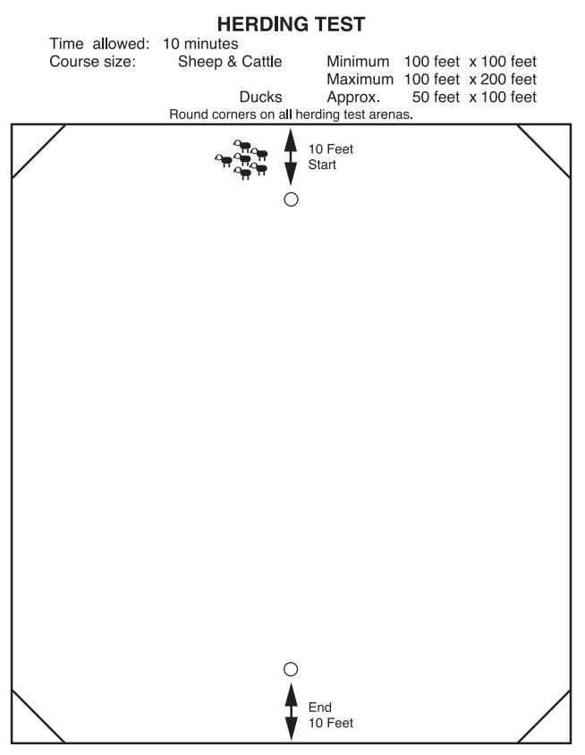 AKC herding test diagram